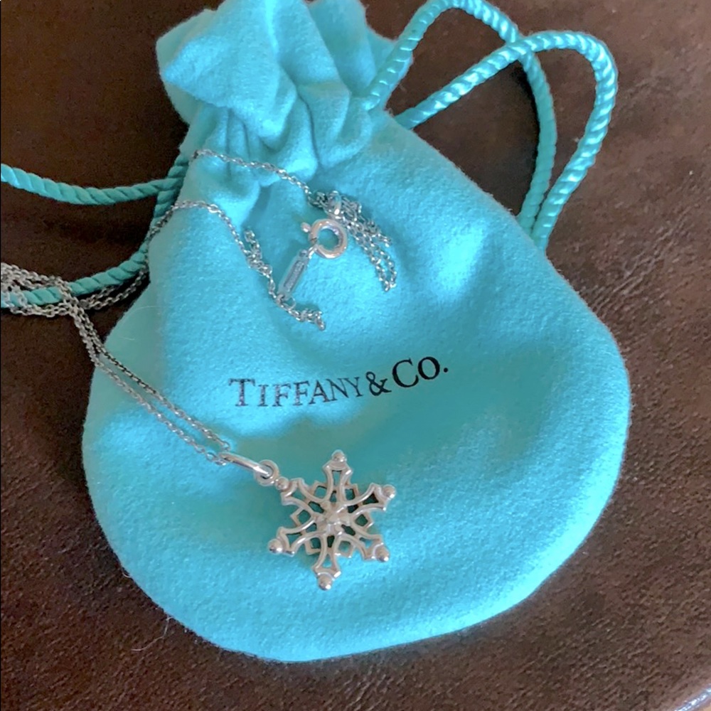 Tiffany & Co. Rare Snowflake Necklace [Holiday]